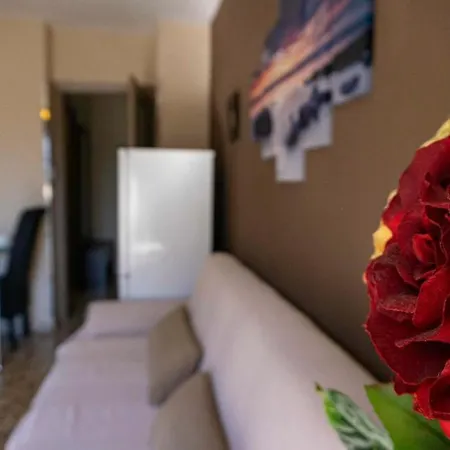 Fantastic Location - Ground Floor In Walking Distance To The * Torrevieja